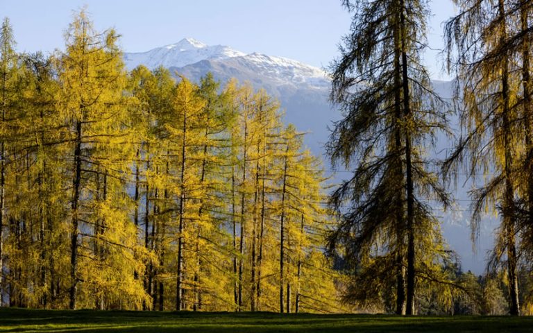 Autumn Walks near Innsbruck | Austria Direct