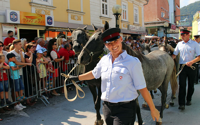 The Lippizaner procession in Styria at the end of the summer.