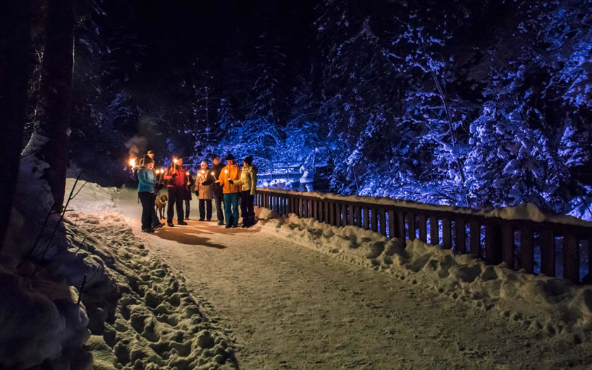 Torchlight hikers set off from Schladming in Styria through the spectacular ice-covered Talbachklamm gorge.