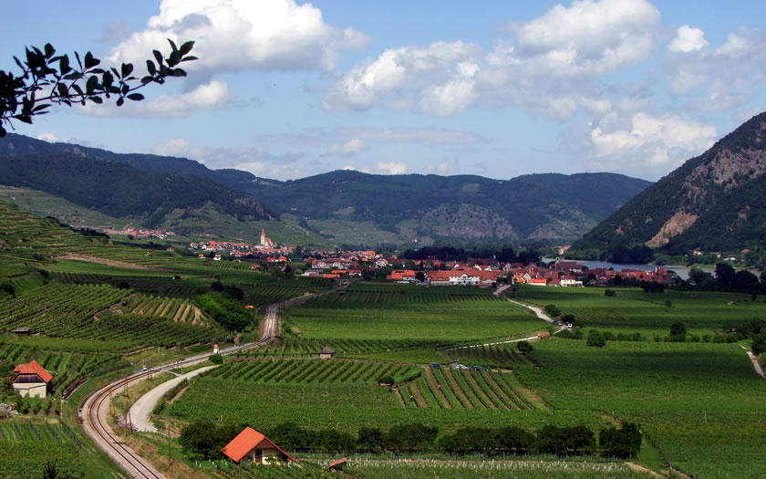 The village of Spitz in the wine-producing area of the Wachau valley