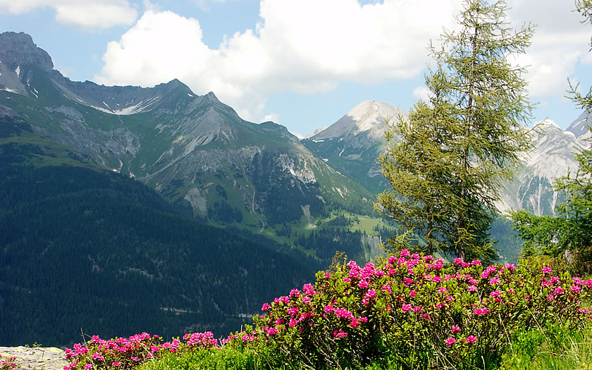 The Alpenrosenweg in St Anton am Arlberg