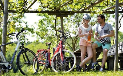 E-biking the Paradise Route in southern Burgenland