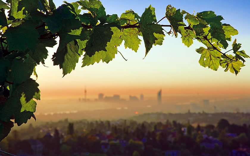 View of Vienna from the green belt