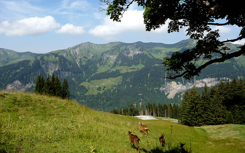 The Bregenzerwald in the Vorarlberg